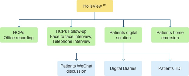 VanDees Holistic View